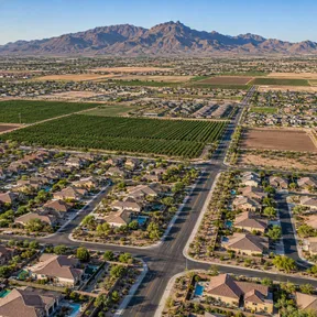 Aerial drone view of orchard fields bordering a suburban neighborhood in Queen Creek, Arizona.